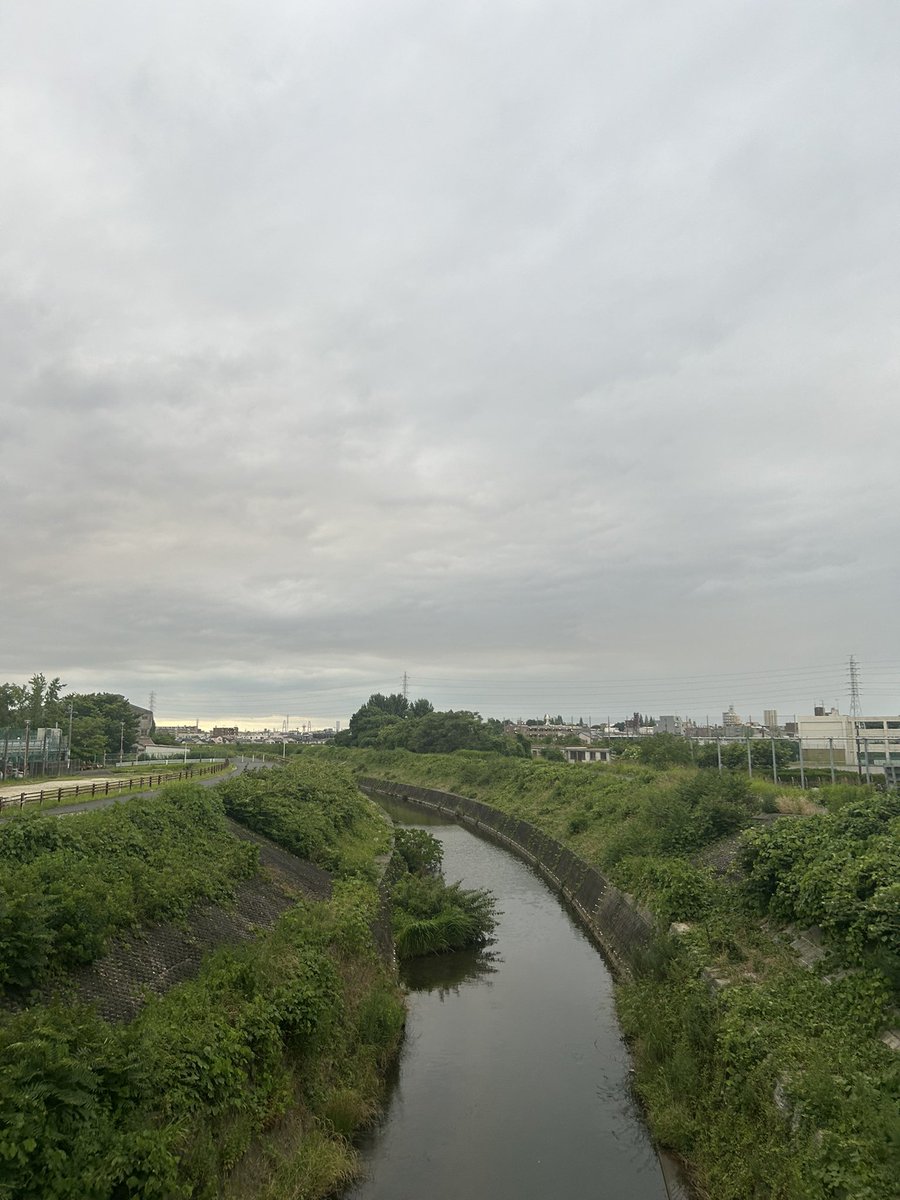 DepkRr's tweet photo. ここ最近ずっと蒸し暑く💦昨日は雨ザーザー☔だったり

曇ってるけど☁️まぁまぁ涼しい日曜日🚲

外は過酷

友達🐈🐾元気そうでなにより🙌

来週も頑張ろう✊の心です

#イマソラ
#イマクモ
#イマカワ
#ちっちゃな橋
#外猫🐈🐾
#猫友達🐈‍⬛🐾
#頑張ろう✊ https://t.co/t59zIxRhbM