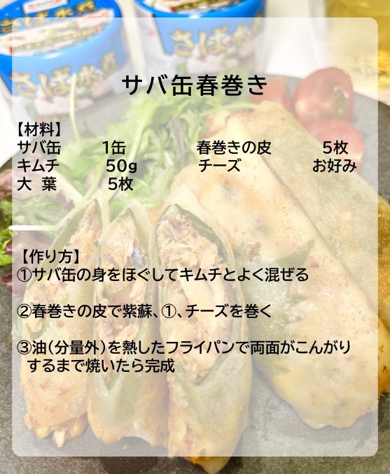yoolemon0903's tweet photo. サバ缶でお酒が止まらない激ウマ春巻き完成 https://t.co/V88tM50Emw