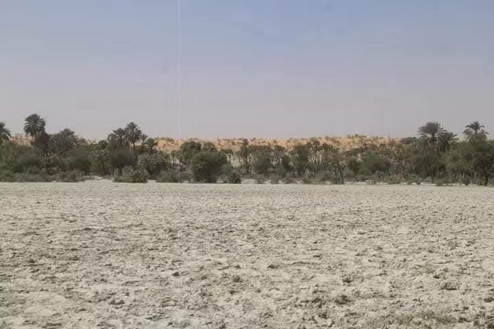 Abu bakar tweet media