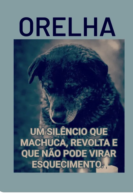 MaluFreire11911's tweet photo. https://t.co/DVghoaFvo8