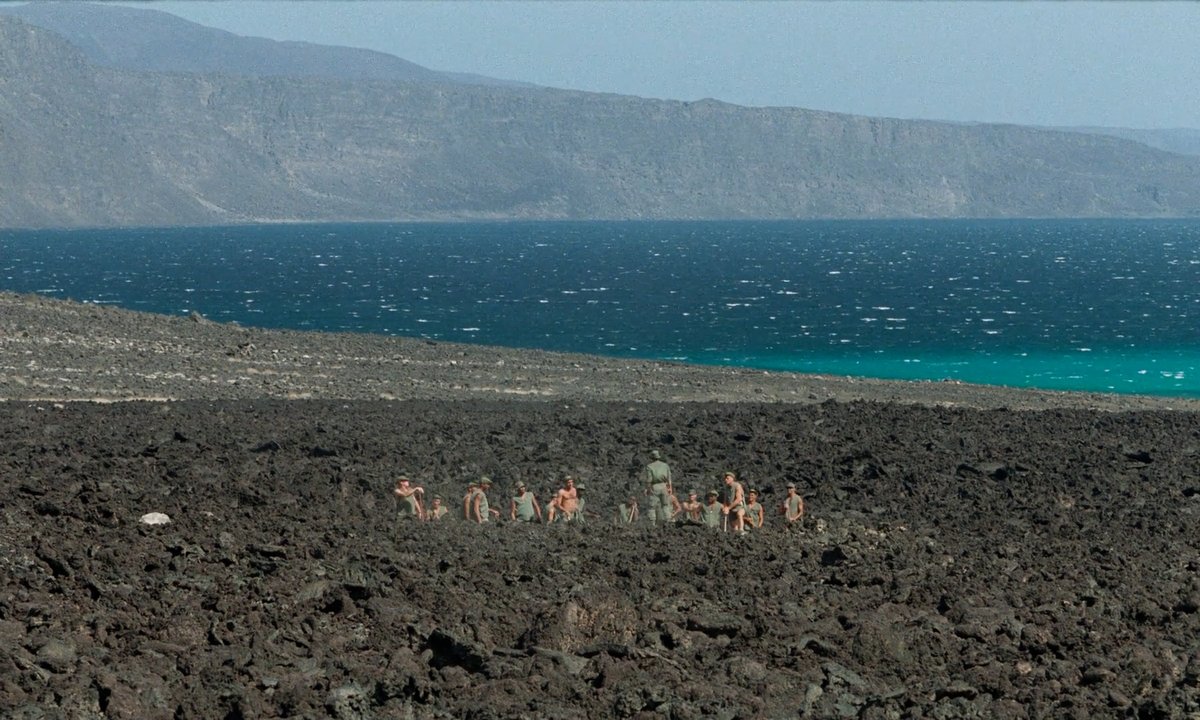 mubi's tweet photo. Guess the film. https://t.co/Lgompyd15u