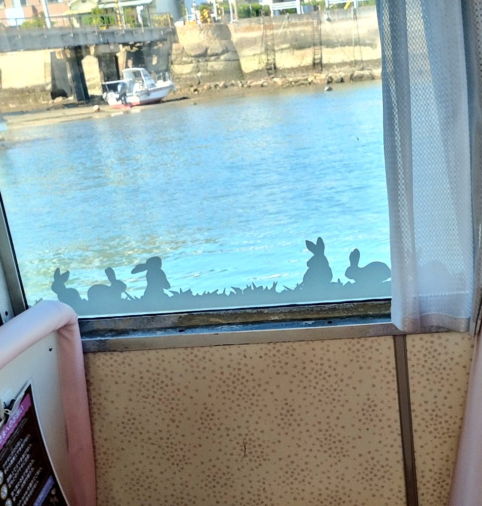 solo_campBBA's tweet photo. フェリーも可愛い可愛い、海キレーきれー
思わず席は取らずにデッキにずっといた🐣 https://t.co/Yohqrsi0MG