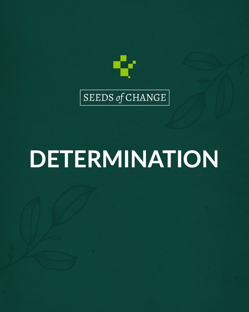 modus_agency's tweet photo. Determination is your inner GPS; no matter the detours, it’ll guide you back to your path.  

#SeedsOfChange #StayDetermined #PathToSuccess #InnerGPS https://t.co/m0EoY0F6Gm