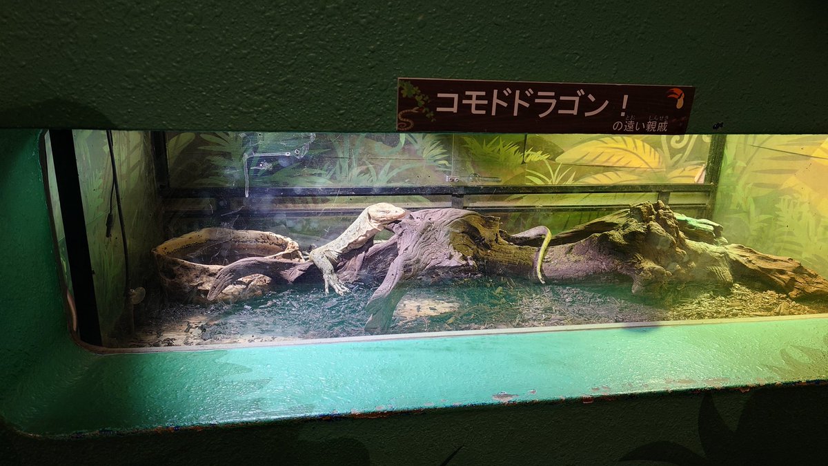Ⓠさん【労災で休職中 近日復帰】 tweet media