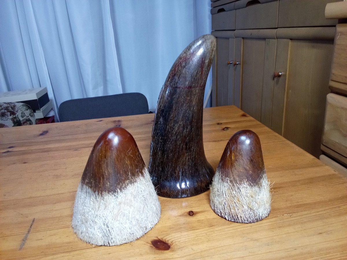 magi533's tweet photo. 正倉院刀子を目指した物を作りたくて探していた角・・・
とうとう手に入りました。 https://t.co/CeBuFWa83G