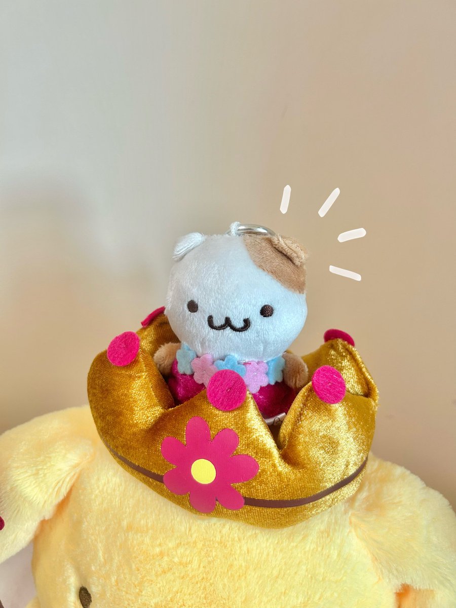 pompom__hk's tweet photo. purin king👑🎀🌸

#ポムポムプリン #布甸狗 #pompompurin https://t.co/NSsjvIXz5d