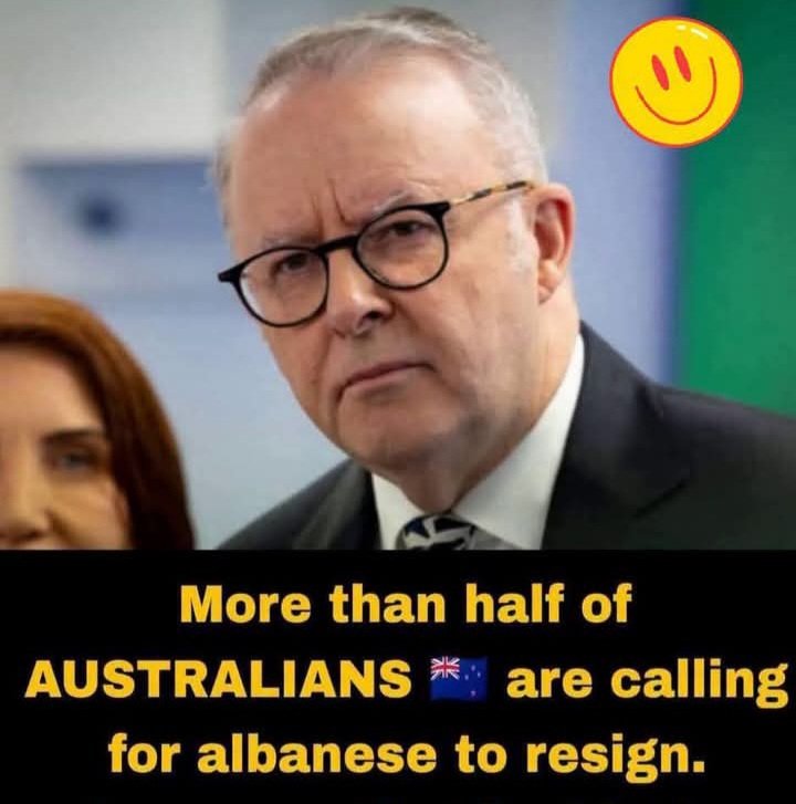 naniayourbusine's tweet photo. More like 75% now 
Are you listening @AlboMP ya dickhead https://t.co/RchBe9lieK