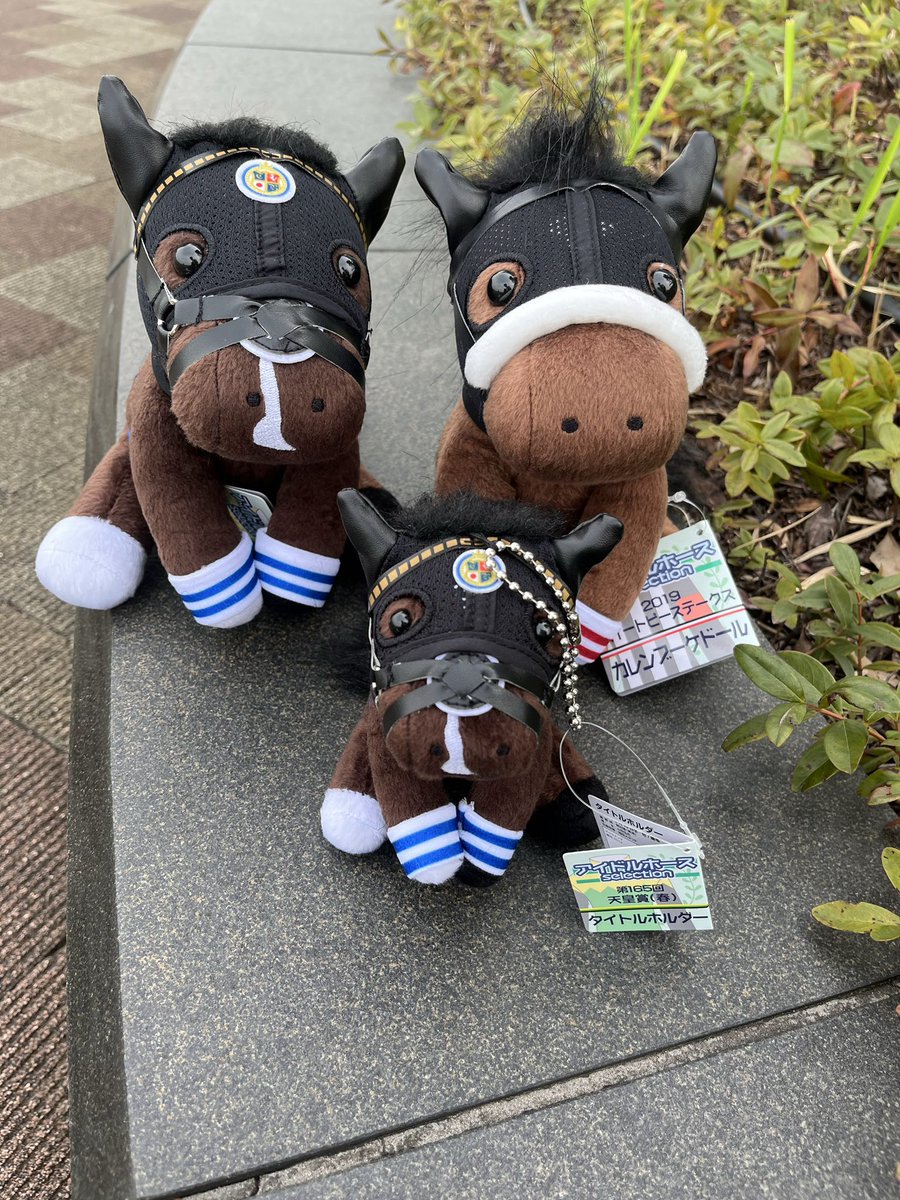4年前、初めて行った競馬場が非開催の中京。 そこで初めて我が家に