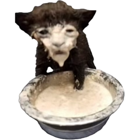 Theworst_hub's tweet photo. @Jedstrikesback @BurbsBecky @ytspost You cannot be serious https://t.co/5RiRKWVV2j