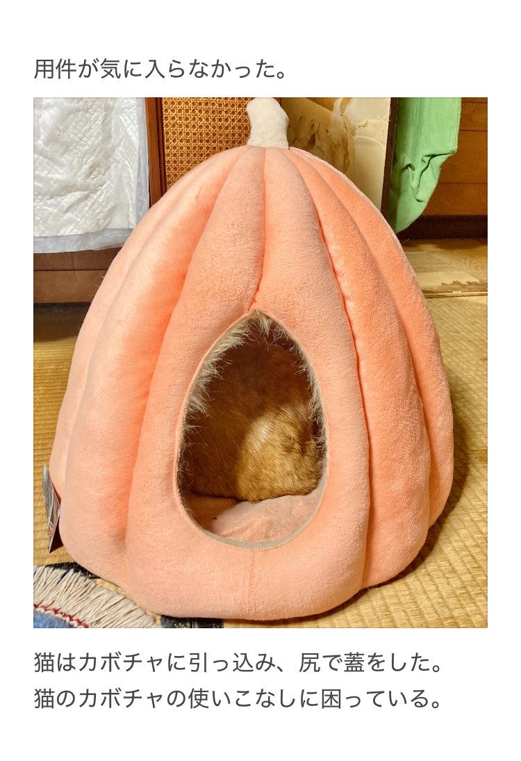 やーこ tweet media