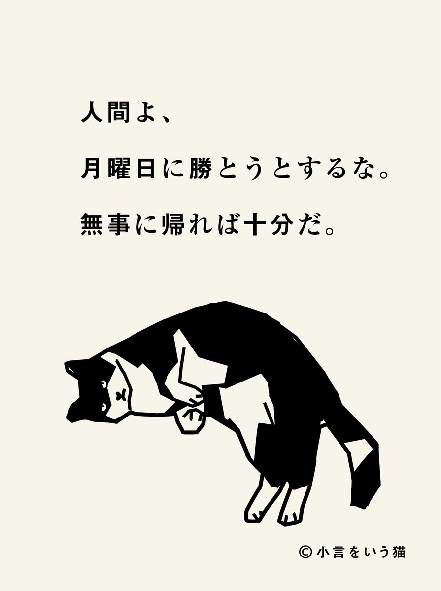 小言をいう猫 tweet media