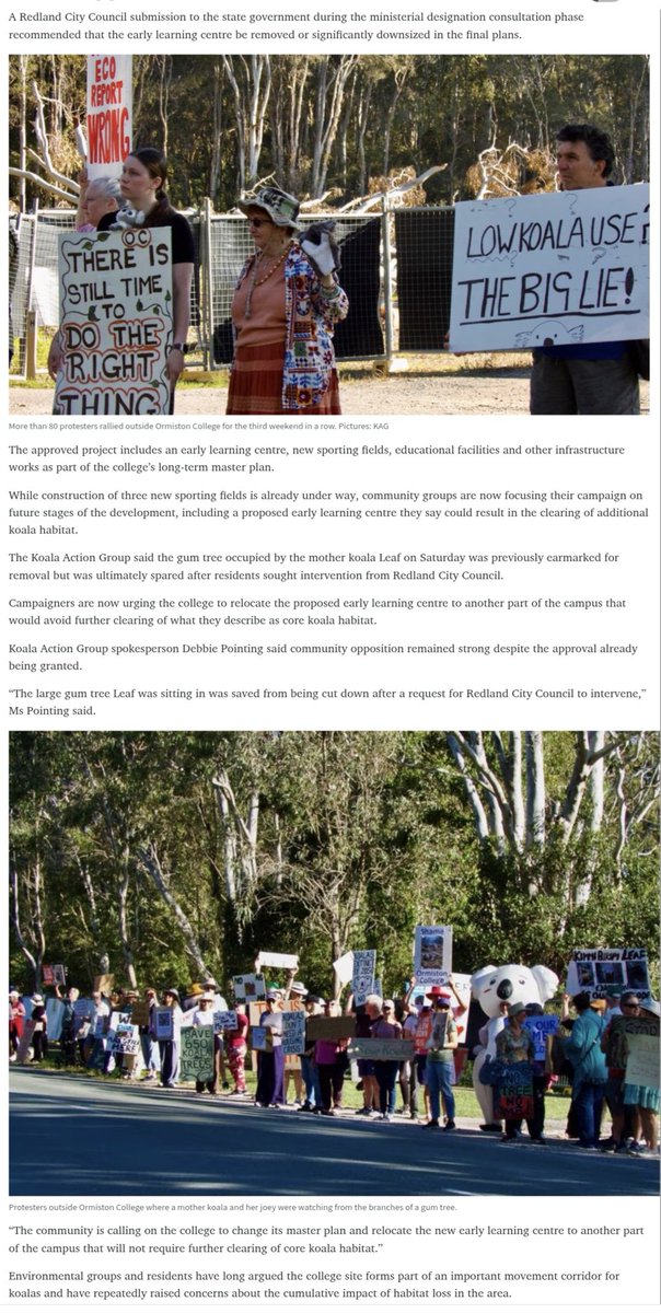 oskaandme's tweet photo. The good people of Redlands aren't giving up the fight for Leaf and her precious joey. πͺππ¨
Keep going.
#saveLeaf #savethekoala
#LNP #koalakillers https://t.co/tcORo00h1J