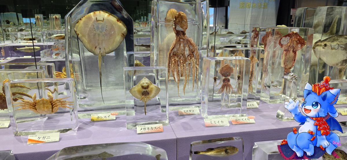 ThisIsThePi's tweet photo. Day 5: went to #Chiyoda Farm and then had an amazing soba for lunch. We then drove 2.5 hours up to #monbetsu to see a -20° ice museum which encapsulate fishes in ice! It was super cold. Finally we took photo of a giant crab claw, because the region exports king crabs. https://t.co/sRfzgT4a95