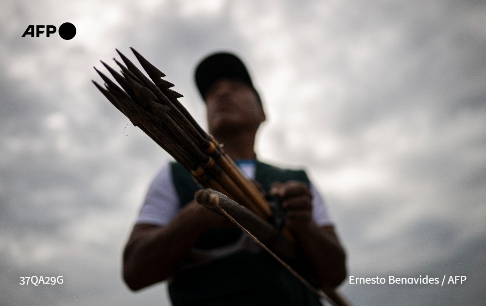 Julestelles's tweet photo. Los menonitas afrontan la ira de los indígenas y un proceso penal por destruir la Amazonía peruana en su expansión agrícola por Sudamérica #AFP https://t.co/3MDcTGIvED https://t.co/ac5RloTdeq