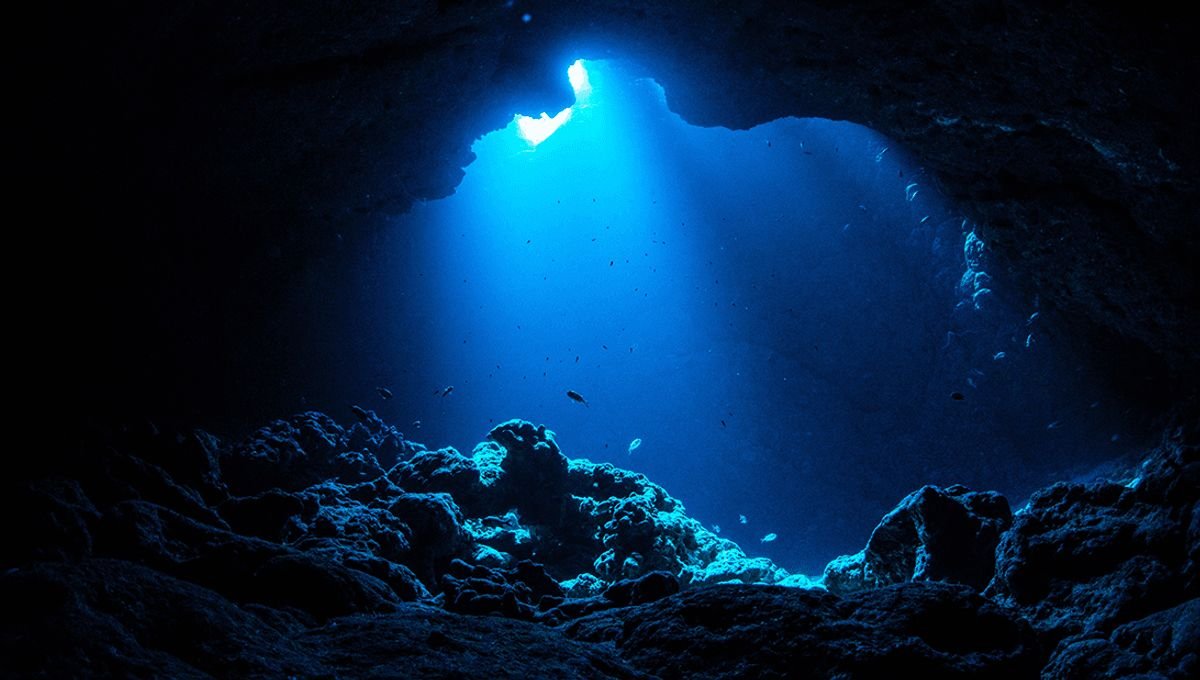 reminiscinbby's tweet photo. underwater caves https://t.co/f2XKoo8YKX