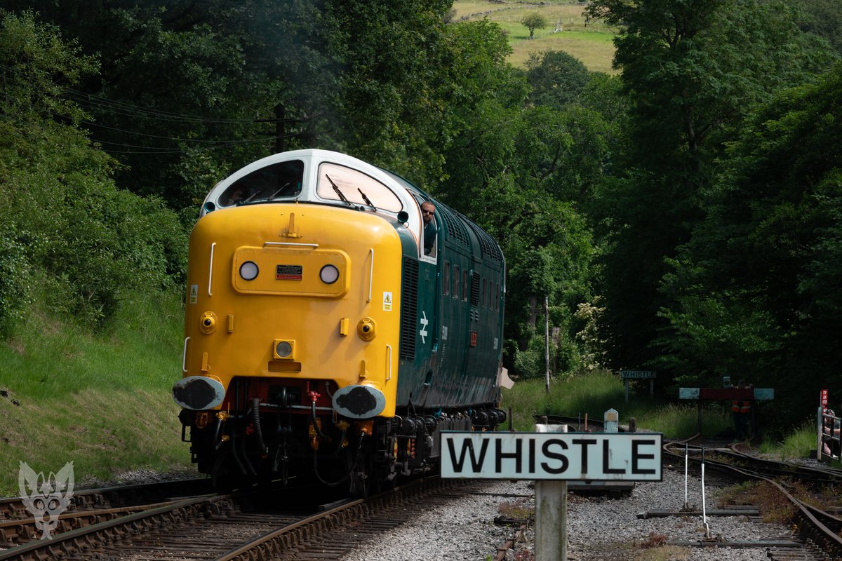 KjariRawr's tweet photo. A rare train post from me 👀! 55009 stealing the show on he last day of the @WorthValley diesel gala! #Class55 https://t.co/dNHkr8Idys