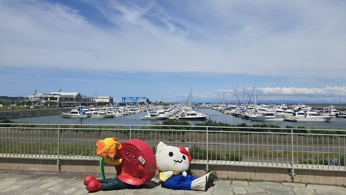 herogurijj's tweet photo. @ricopin4649 今年もお疲れ様！！
北海道楽しめたかな？
また来年待ってるね(*ˊᵕˋ*) https://t.co/DlSZ5EtmBq