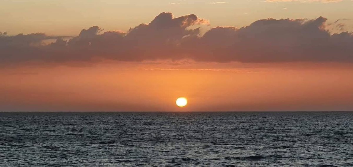 Havenlust's tweet photo. Good morning, wherever You are 🌞☀️ https://t.co/0oAjNxCw7I