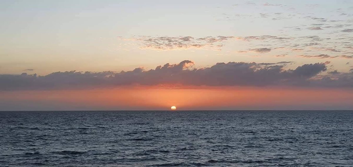 Havenlust's tweet photo. Good morning, wherever You are 🌞☀️ https://t.co/0oAjNxCw7I