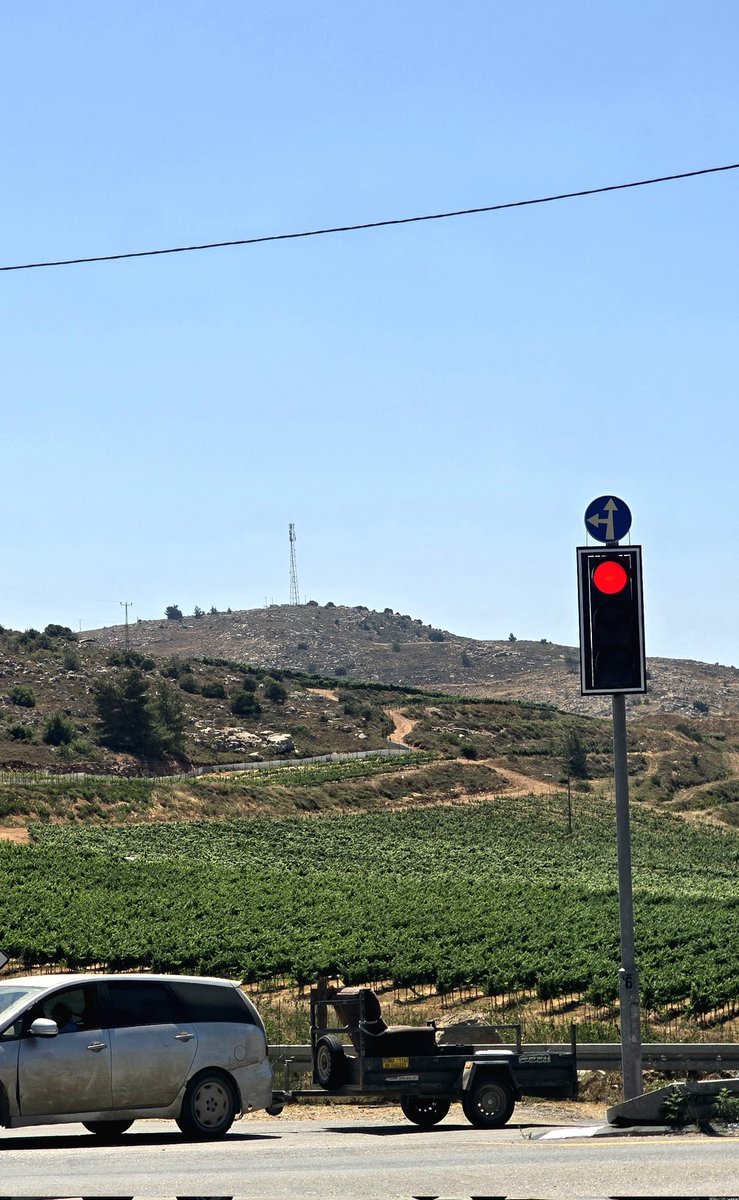 MOSSADil's tweet photo. STREET LEVEL: SAMARIA
A vineyard in the hills of Samaria.

Jeremiah described this roughly 2,600 years ago as part of Israel’s return:
“Again you shall plant vineyards on the mountains of Samaria.”

Returning to your own land is not occupation.
It is history taking root again. https://t.co/LuqmkI8fds