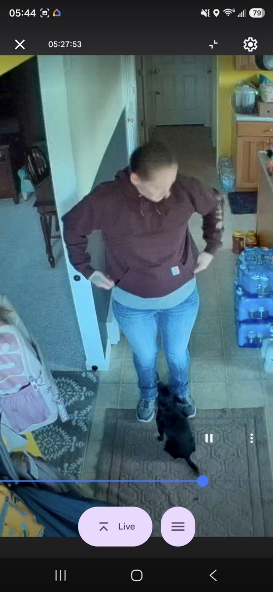 ColmanRene8704's tweet photo. Headed to North Conway today to do some shopping with out the hubby around... His only request was make sure i come home full. https://t.co/U23gVs1dMF