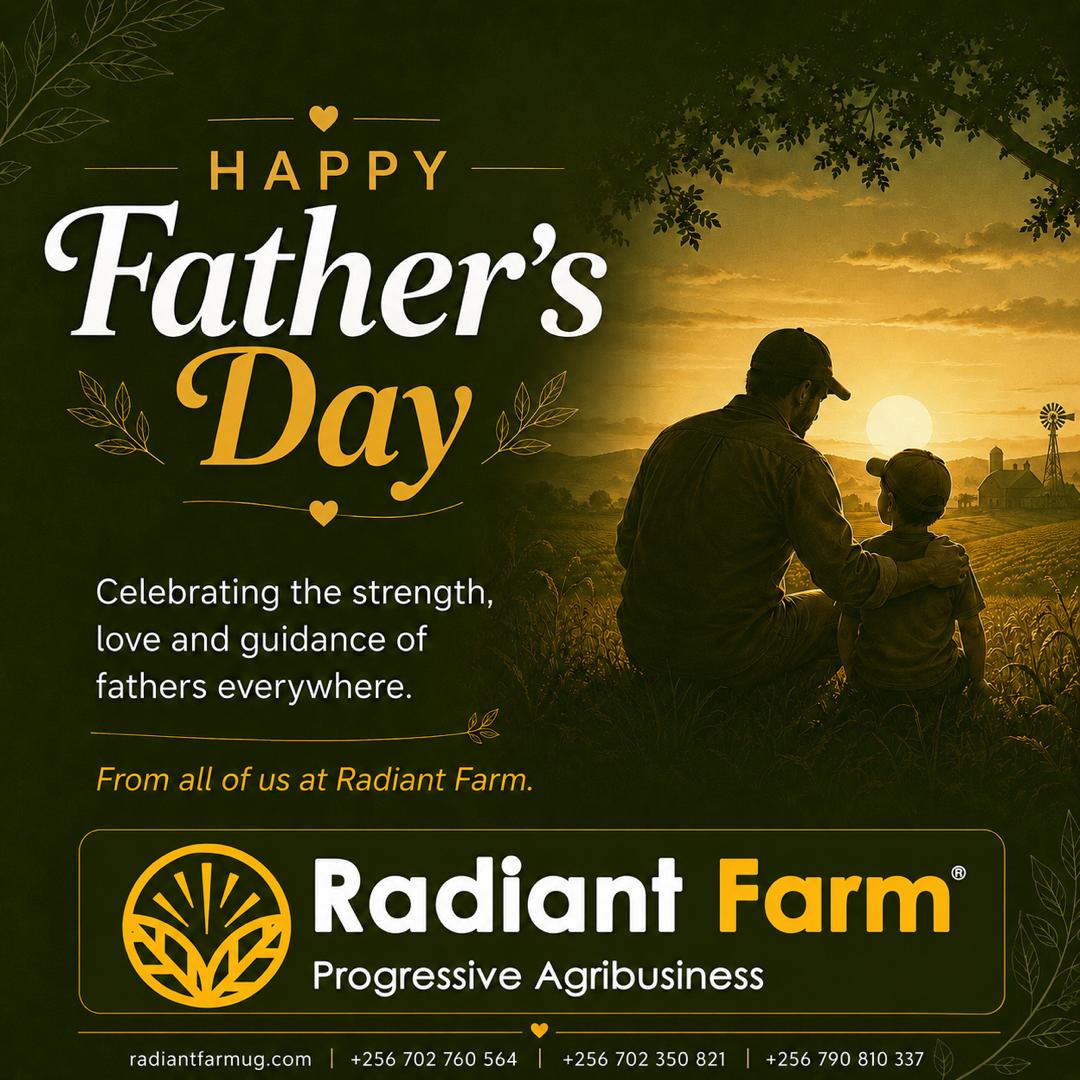 RadiantFarm's tweet photo. 👩🏽‍🌾🌾HAPPY FATHER`S DAY from the team at Radiant Farm Uganda🐄🐮
.

👉We DELIVER bagged Hay and Maize silage to your location, T&amp;C apply.

CALL/WHATSAPP
📲 +256 790 810 337
📲 +256 702 350 821
📲 +256 702 760 564

📩 EMAIL: kampala@radiantfarmug.com

👉🌐 https://t.co/itoCOEaGVg https://t.co/IBGMDM36KK