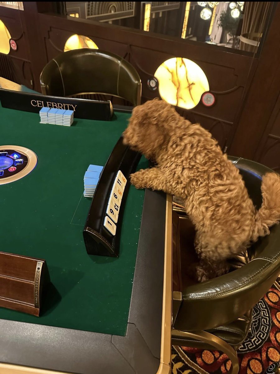hajiguney's tweet photo. Bir köpeğin dostluğu, bir dostun köpekliğinden iyidir. https://t.co/HGsqe6w7Dq