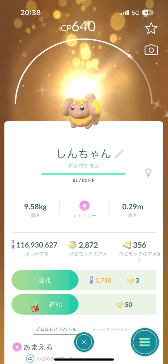 Shinvellfire's tweet photo. ���日の1日🥰
リモート交換　パピモッチ✨(色違い図鑑埋め出来た💕)
貴重なポケモン交換ありがとう🥰

色違い　ヒポポタス　デルビル✨

今週もフレンドさん　フォロワーさんになって頂きありがとう🥰
今は　のほほんポケ活だけど　仲良くしてね💕

#ポケモンGO https://t.co/aFpALpj03z