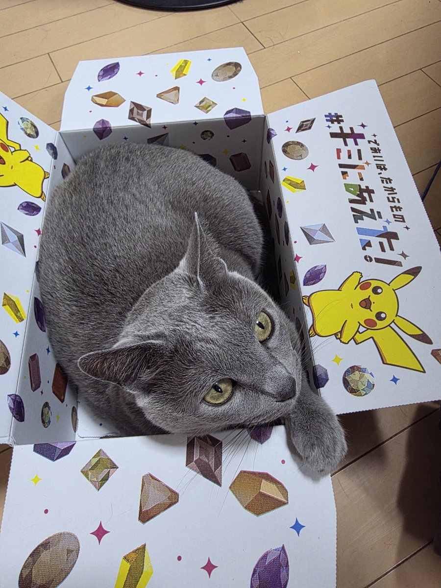 KmaR511P's tweet photo. であいはたからもの
らしい https://t.co/sGI2JTFcWo