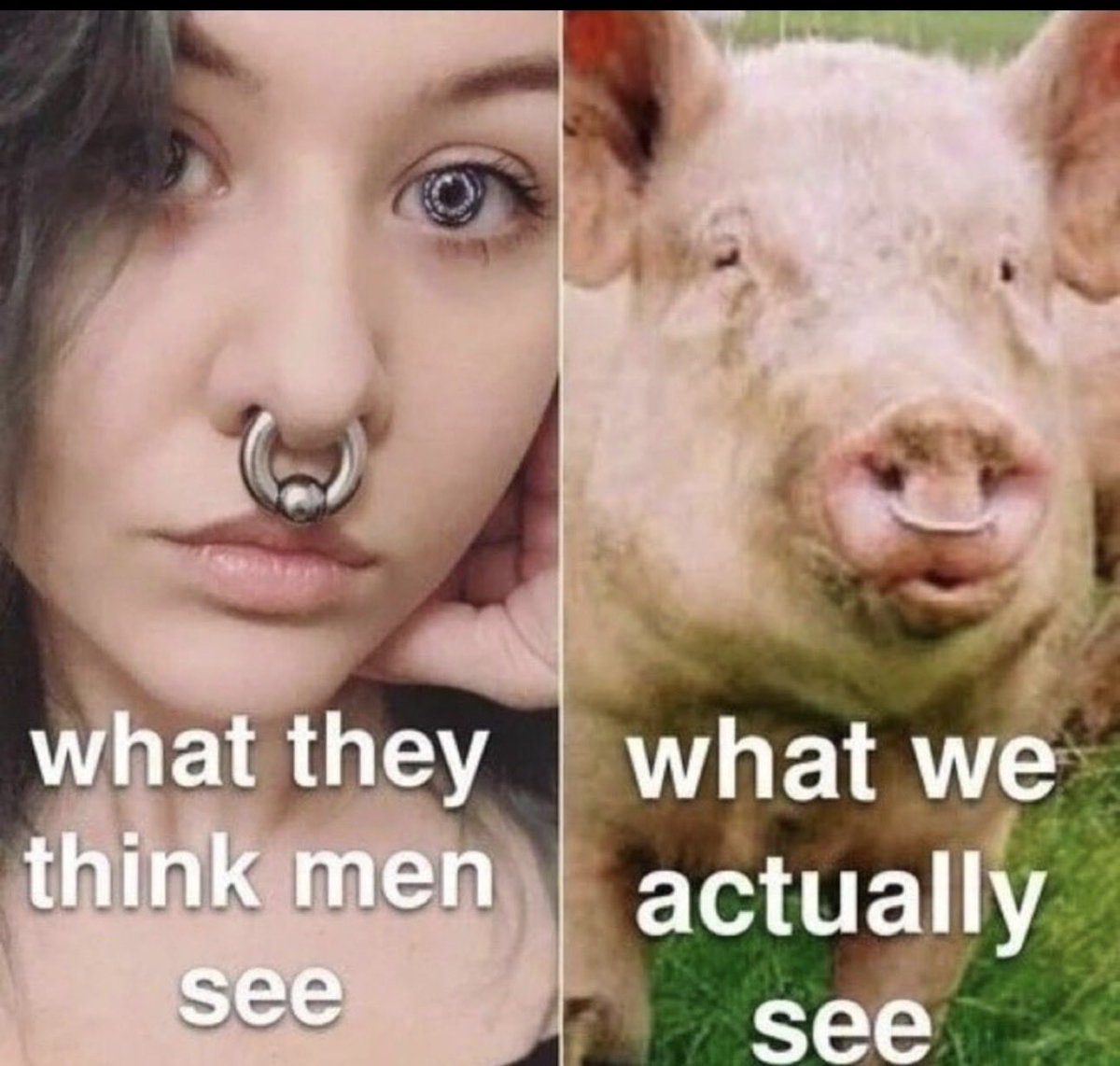 HarrisScottC's tweet photo. @AntiWokeMemes https://t.co/i1UvmuU1eh