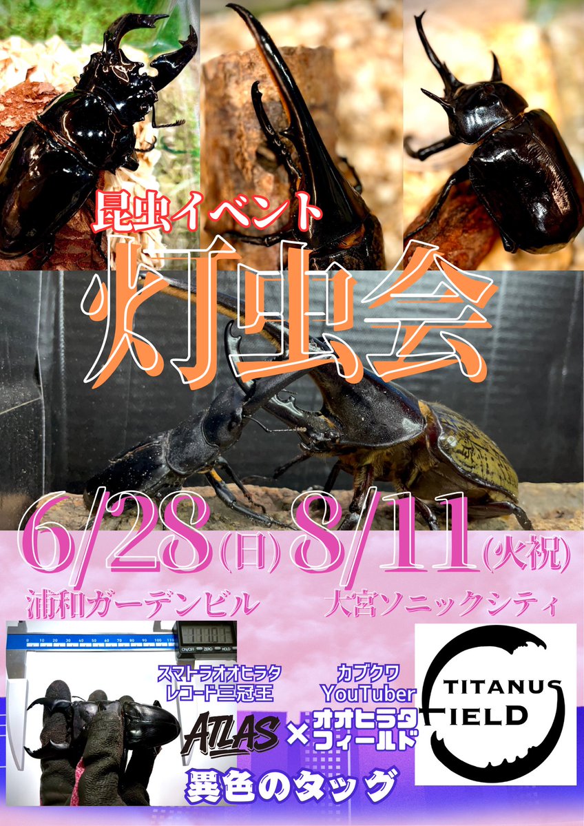 TOCHUKAi2026's tweet photo. 6/28「昆虫イベント　灯虫会」

6/28(日)灯虫会にあたり、ご案内があります。
会場の都合上並べる場所がないため、基本的にはイベント開始時間に合わせてのご来場をお願いいたします🙇‍♀️
詳しくは掲載画像をご覧ください↓ https://t.co/lfbgKDSWFe