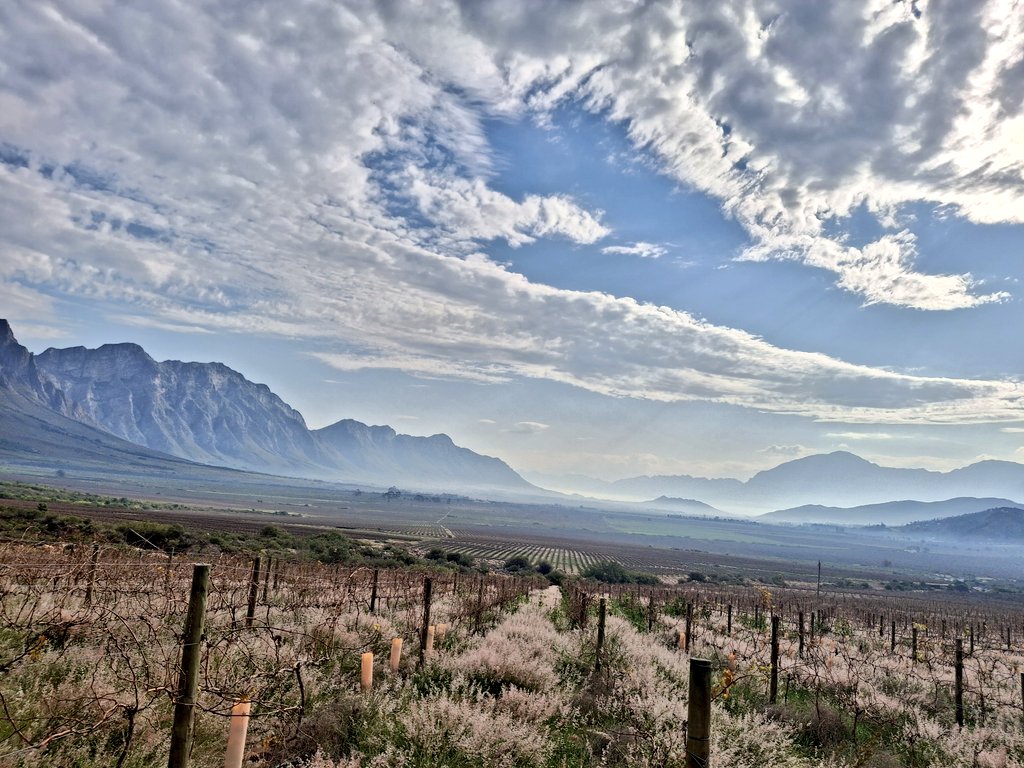 JDEGOEDE's tweet photo. More morning jog views. Sky was beautiful with the clouds and a bit of mist. The soundtrack was provided by the birds and a few baboons. 😁😁🍷🍷 https://t.co/IbXPIhHhwg