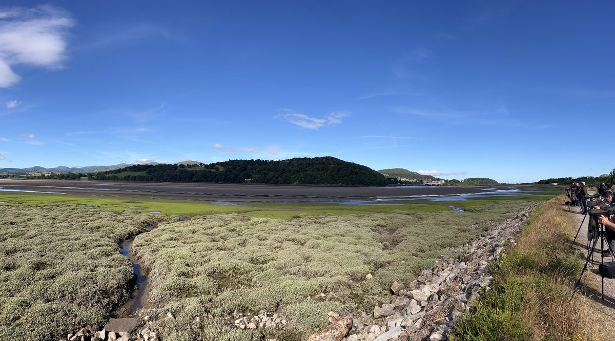 rgreasby's tweet photo. Cracking twitch with @paolobolton yesterday to finally connect with the Western Reef Heron. Spending the morning in the estuary we noted the Pacific Swift report and took a punt and spent the rest of the day on the Great Orme.  No swifts but Coughs were a great compensation. https://t.co/b1oKvsXu29