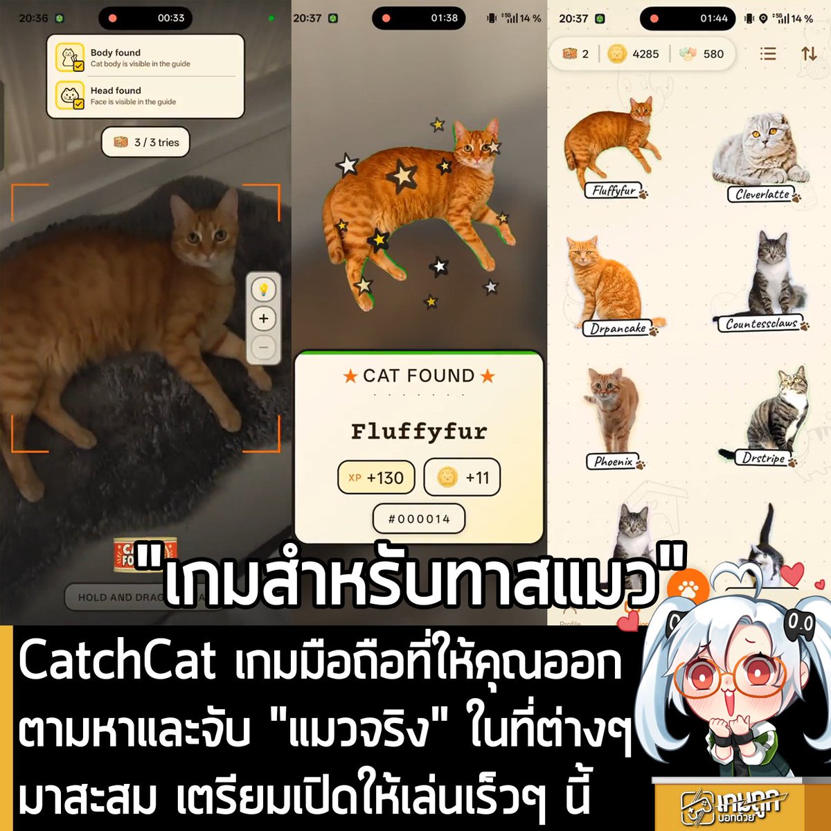 sheapgamer's tweet photo. [News] CatchCat เกมมือถือที่ให้คุณออกตามหาและจับ "แมวจริง" ในที่ต่างๆ มาสะสม เตรียมเปิดให้เล่นเร็วๆ นี้
.
ผู้ใช้งาน Reddit นามว่า Ok_Day7969 กำลังพัฒนาเกมมือถือแนวเดียวกับ Pokemon GO แต่เปลี่ยนจากการจับโปเกมอนเป็น "แมวจริง" ในชื่อ CatchCat
.
โดย CatchCat มีเกมเพลย์คล้ายคลึงกับ Pokemon GO ที่เมื่อคุณเจอแมวตามที่ต่างๆ ก็เพียงเปิดกล้องในเกม กดถ่ายรูป แล้วแมวตัวนั้น ก็จะเข้ามาในคอลเล็กชันของคุณที่มี ชื่อ ระดับความหายาก เลเวล และค่าสถานะของตัวมันเอง ซึ่งระบบจะตรวจสอบว่า รูปที่ถ่าย มีแมวจริงๆ อยู่ในภาพหรือไม่ ดังนั้น คุณจะแคปภาพหน้าจอหรือใช้รูปจากที่อื่นมาโกงไม่ได้
.
แมวทุกตัวที่จับได้ จะมีการ์ดสะสมของตัวเอง และมีแผนที่โลกที่แสดงให้เห็นว่า ผู้เล่นคนอื่น เจอแมวตัวไหนบ้างในบริเวณใกล้เคียง 
.
ซึ่งในตอนนี้ CatchCat กำลังอยู่ในระหว่างการตรวจสอบบน Google Play Store ถ้าทาง Google อนุมัติ ก็จะพร้อมเล่นบนมือถือ ซึ่งทาง Ok_Day7969 จะอัปเดตอีกครั้ง หากตัวเกมเปิดให้เล่นแล้ว