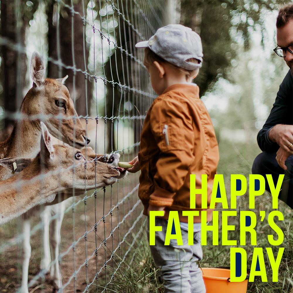 CellucciHomes's tweet photo. A father is someone you look up to no matter how tall you grow. Happy Father's Day! https://t.co/6ZJ2SqiKpu