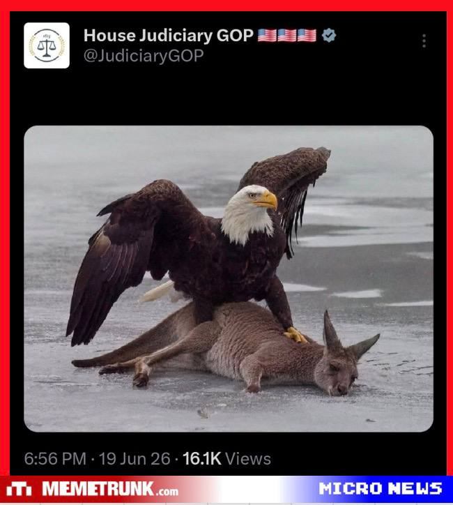PhilomenaGrady's tweet photo. 👀LOOK what the House Judiciary posted !!

COMMS - Australia TIME'S UP !!

Law of War Manual 11.2 / 11.3
Manual for Courts Martial 

EO - 13818  
EO - 13848 
EO - 13903  
EO - 13928

Military is the only way ⚔️⚔️
No Deals !!!

NCSWIC 💞🌹🕊🌍💫

@RealLTCRicBosi https://t.co/MUawT6uqJ2