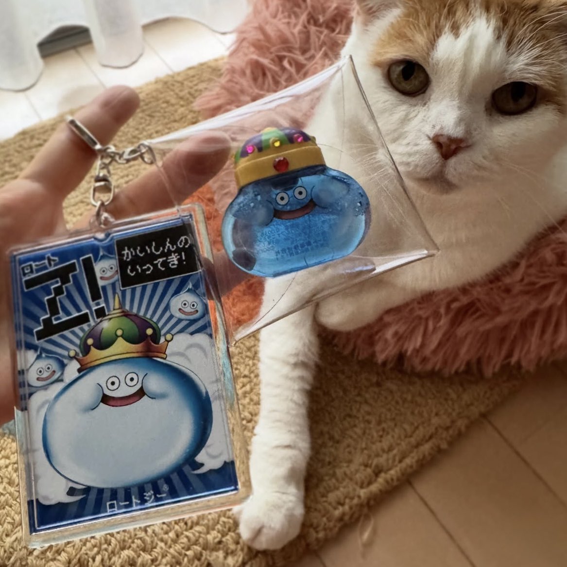 akeminnie's tweet photo. キングスライムの目薬。
パッケージもケースとセットにしてみました。
おうち用なので、迷子にならなくて助かる。
なにより、かわいすぎー！！
#ロートジー #猫のいる暮らし https://t.co/cdfvxkhZYL