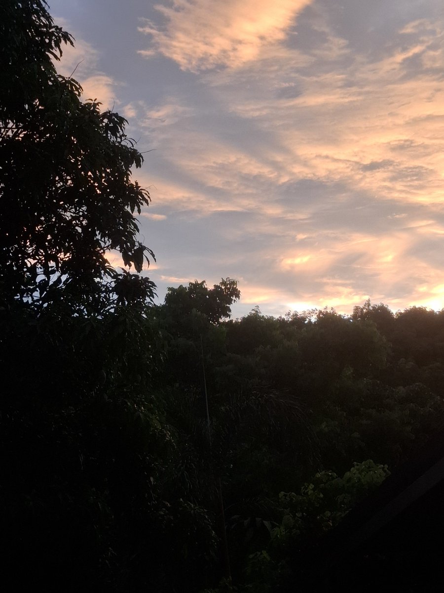 indy40108's tweet photo. แสงสุดท้ายของวันนี้ ณ ท้องฟ้าบ้านฉัน
#ท้องฟ้าเย็นนี้ #sunsetlover https://t.co/Fe1EvJXkl8