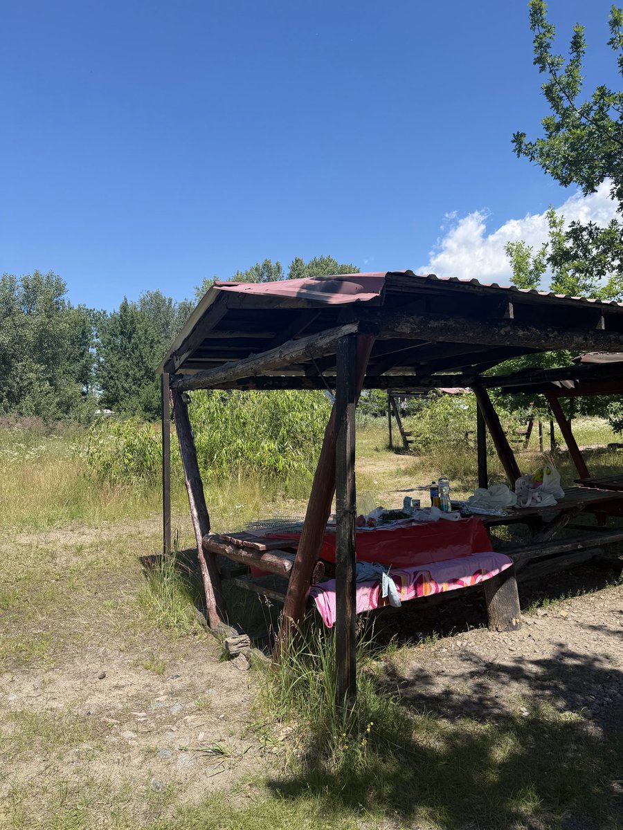 girlincrypto007's tweet photo. Hey guys ☀️ 

It’s your sign to do summer barbecue 😋 

Who’s your bet today on World Cup? https://t.co/BBPevMzqqu