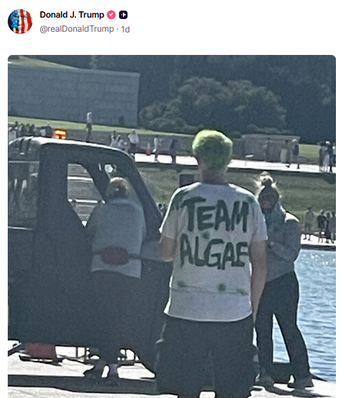 SaltyGoat17's tweet photo. Can y'all imagine having nothing better to do in your life than THIS?👇🏼 https://t.co/fWLradx95t