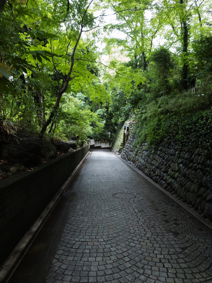 goodenough2021's tweet photo. 最近の深大寺で10時半にこれは空いてる
#深大寺 #雨上がり https://t.co/WLpyFZGyL6