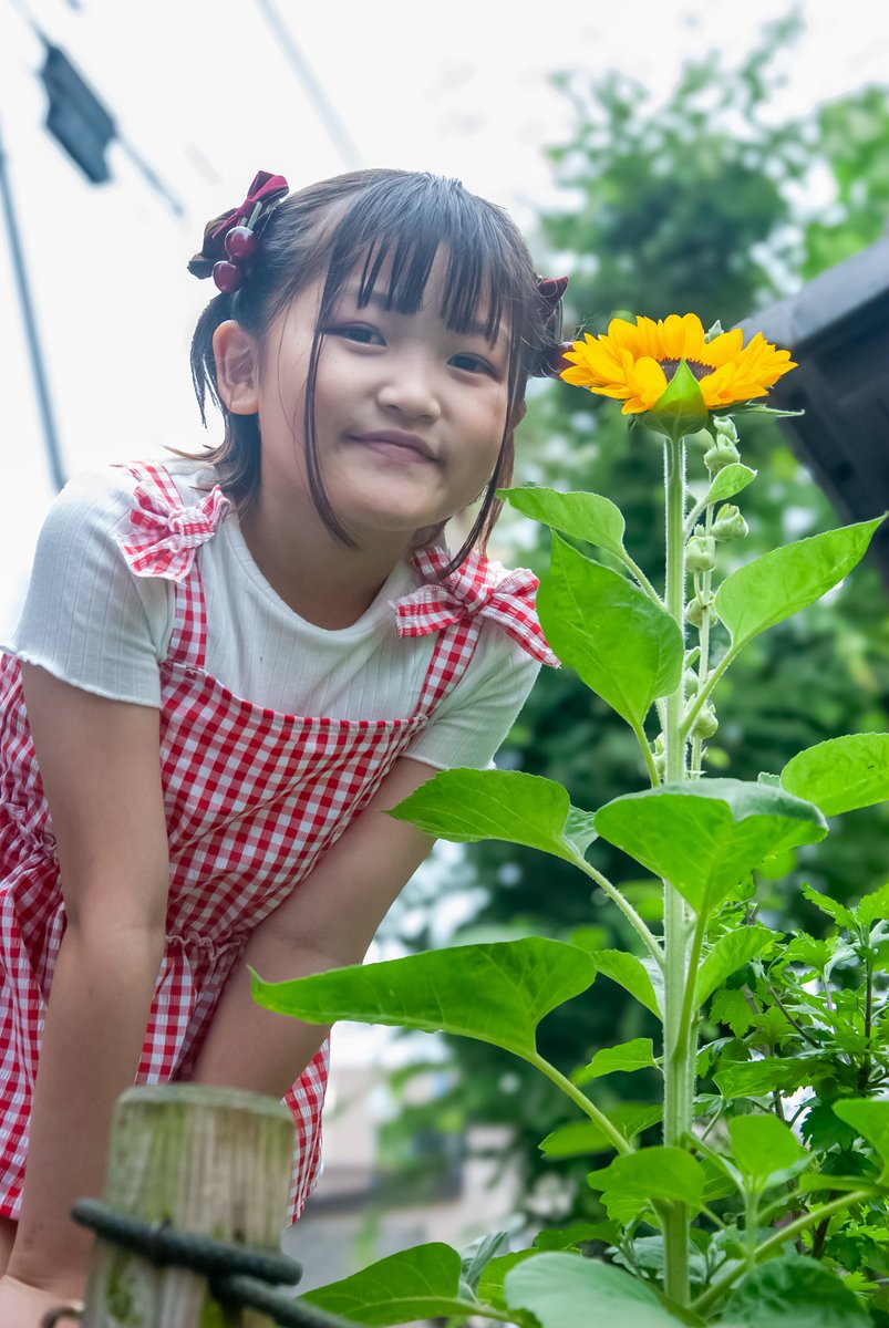 k_ksensei203's tweet photo. 2026.6/21 モニベル撮影会
モデル ういちゃん(@u_z_chan)(8歳)
撮影会エリア 北千住エリア
初夏を感じられる花達と素敵💓写真が撮れました。
※ 無断転載、転用 ❌
いいね👍&リポスト 大歓迎 ⭕️
コメントとリプライも大歓迎⭕️
#うい #UI #TeamEnjoy
#モニベル #モニベル撮影会
#キッズモデル #キッズアイドル
#monibell撮影会 #小学3年生