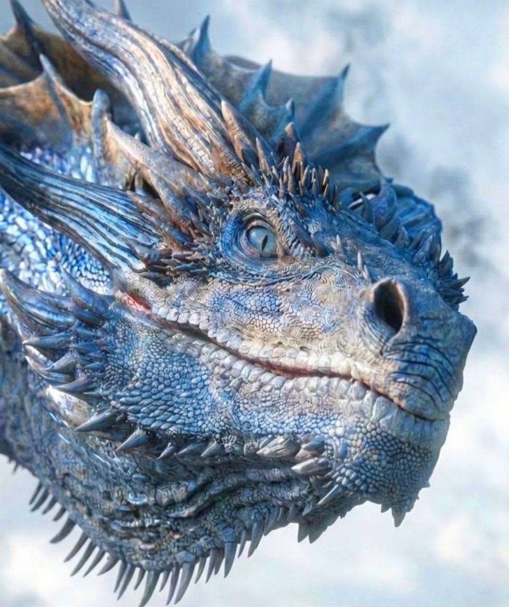 celestialysia0's tweet photo. One of the most elegant, historical and significant dragons in the entire universe of George R.R. Martin. It stands out for its beautiful pale blue scales with silver markings, being a slender, fast and imposing-sized dragon for the Dragon Dance era.

Her first union with a rider was with Princess Rhaena Targaryen (granddaughter of Aegon the Conqueror), who rode her all over Poniente during a very turbulent life. Decades later, it became Queen Helaena Targaryen's mount, though Helaena rarely flew it after the tragic events of Blood and Cheese.

Dreamfyre is famous for being an incredibly fertile dragon. While Rhaena lived in Rockadragon, a close friend named Elissa Farman stole three of her eggs and sold them in Braavos to fund a transocean trip. History strongly suggests that these three eggs survived centuries until they reached the hands of Daenerys Targaryen, becoming Drogon, Rhaegal, and Viserion.

#HouseOfTheDragon #dreamfyre #fireandblood