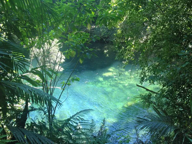 artindetails's tweet photo. found a secret slice of paradise hidden in the trees https://t.co/SKHJW73twD
