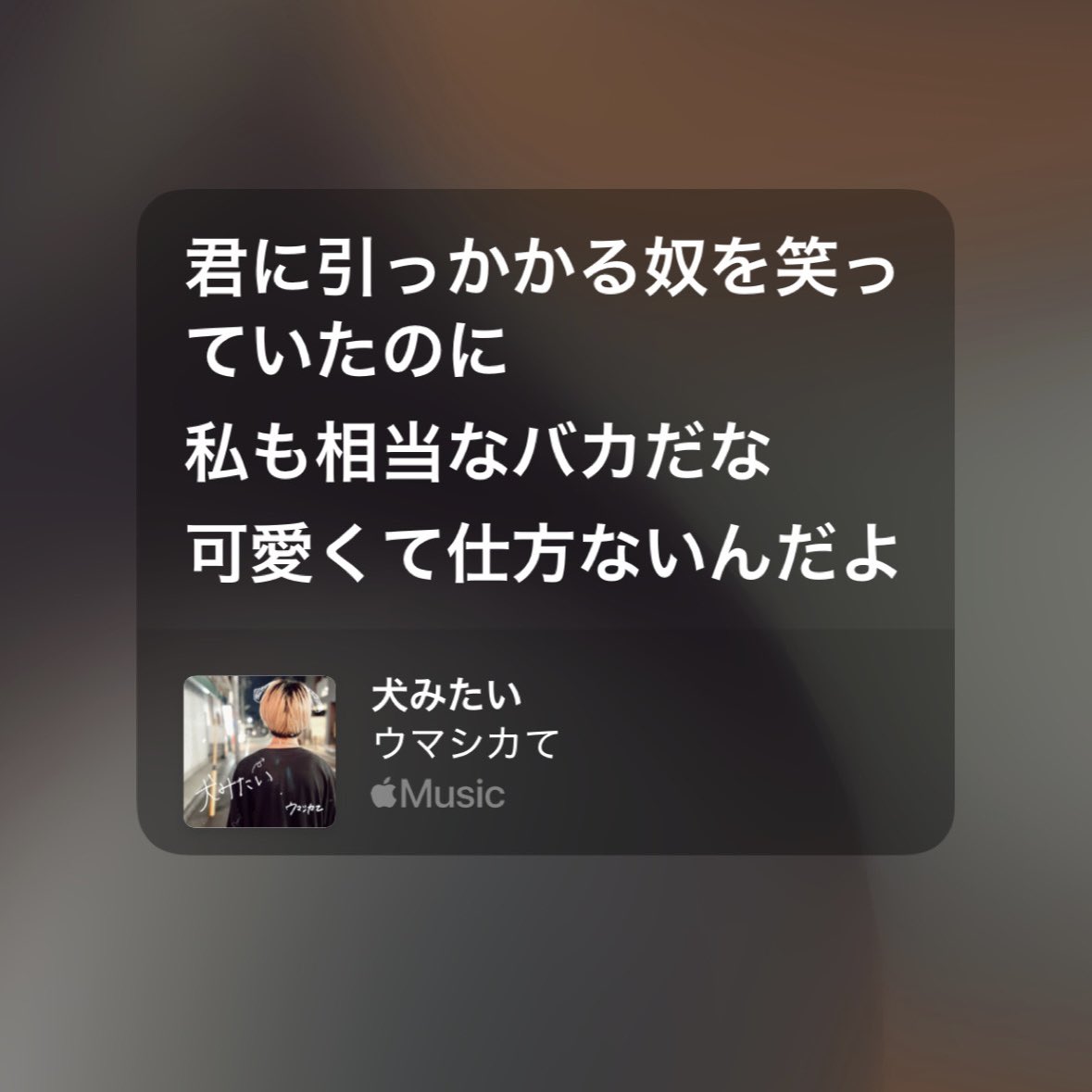 kameme____'s tweet photo. ウマシカての犬みたいって神でして____________ https://t.co/UvzwN2scvz