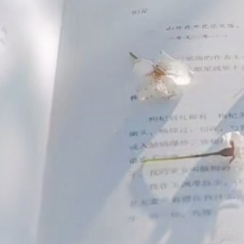 MeganWagne96871's tweet photo. Growth isn’t about becoming someone new—it’s about unlearning the parts that kept you small. https://t.co/g0nUrUQGer
