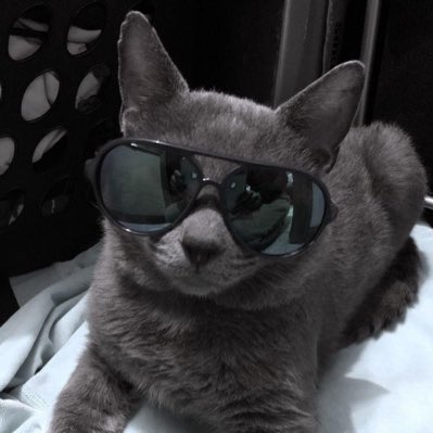 텬솜 tweet media