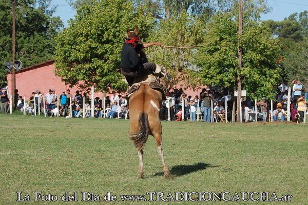 tradiciongaucha's tweet photo. 📸 #FotoDelDía #Jineteada #Tradición
https://t.co/JAtNwCT7Na https://t.co/IZCusevAr8