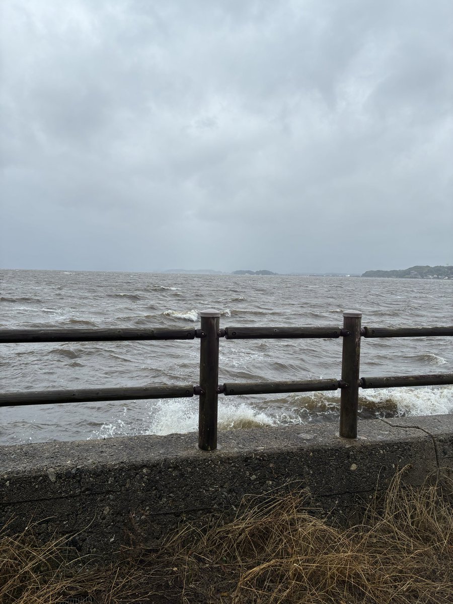 Drum_Zappa's tweet photo. 荒れる湖はシジミの名産地。
いくら飲んでもシジミが癒してくれる。
明日を見るなと言う事だ。 https://t.co/Xt4ccmKWcO