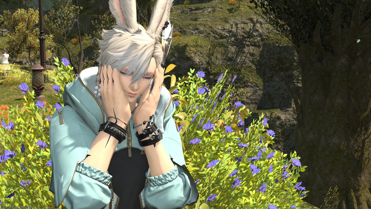 leonleon12388's tweet photo. ん、ぽちった
駄目だ。
歯止めかけろ
＃FF14　＃FF14フレンド募集 https://t.co/QqkHl5fU4q
